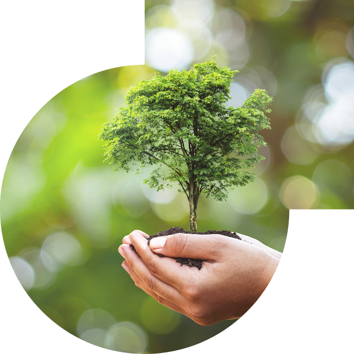 關懷人類、文化、環境與社會