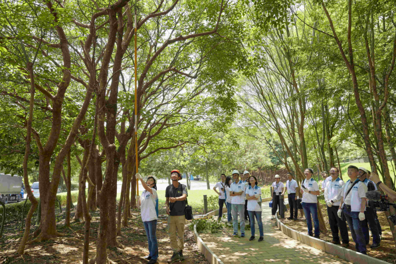 藝師教導大家認識樹木、檢查樹的健康狀況，學習修枝及碎枝覆土