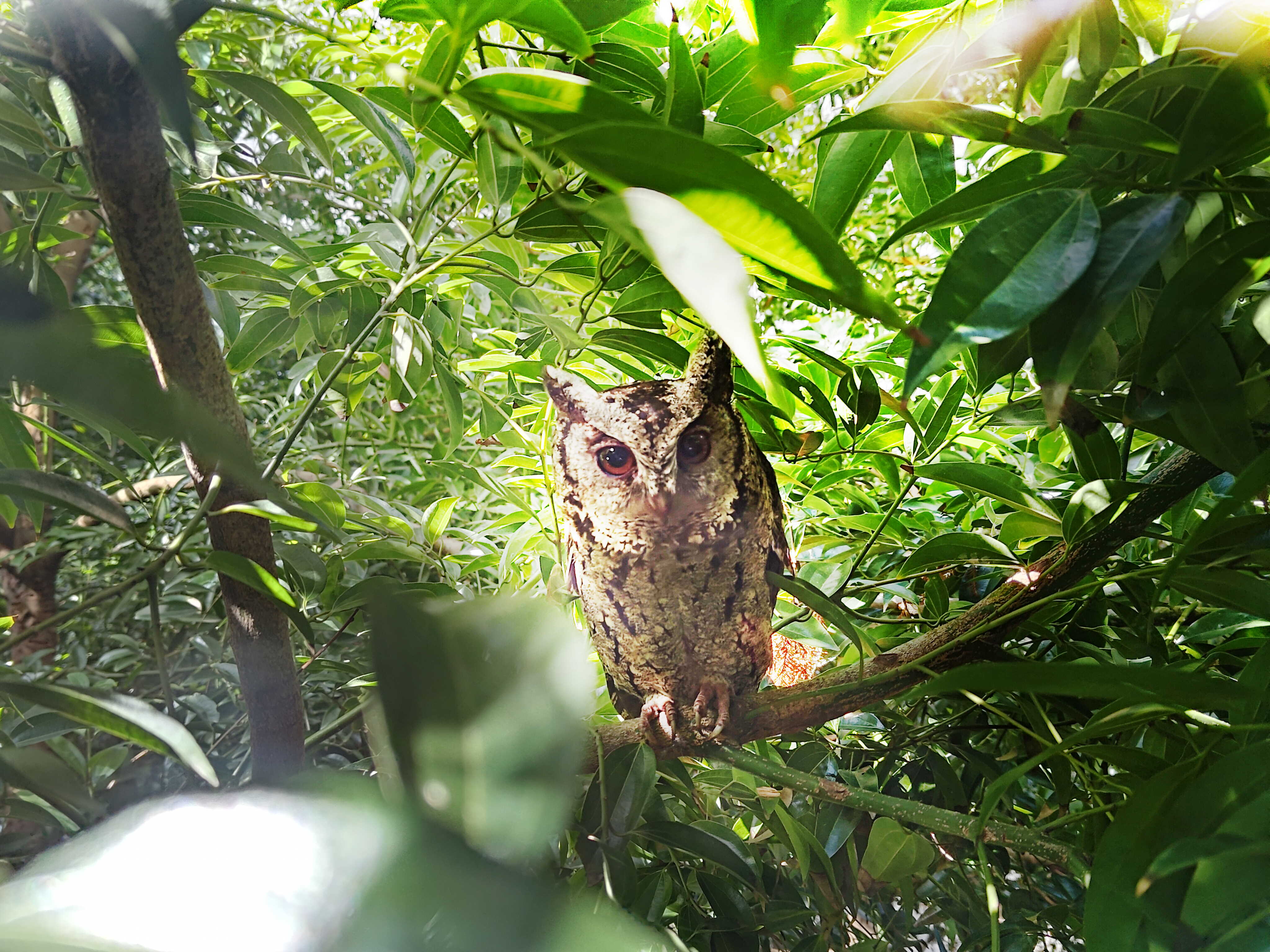 jinnian金年会致力提倡净零绿生活，16年以来在全球各厂区植树逾百万棵，造就各厂区树木蔚然成林，犹如森林工厂，成为许多生物的栖息地